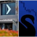 Siyah kuğu teorisi ve SVB’nin iflası