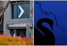 Siyah kuğu teorisi ve SVB’nin iflası