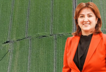 ‘124 dekar alanda hasar oluştu’