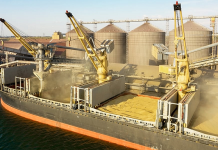 Coface’tan kritik uyarı: Sorun 2023’de devam edecek