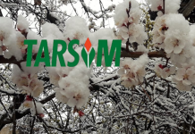 Tarih, 30 Mart. Tesadüfün bu kadarı da olur mu?