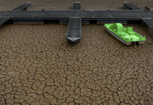 Tarihin en yüksek tarım hasarı ödenecek