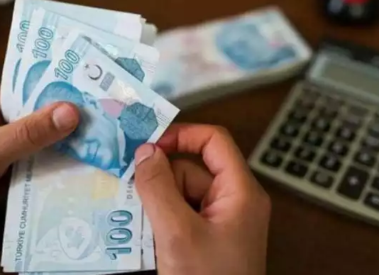 Bağ-Kurlu’lar nasıl ihya yapacak?