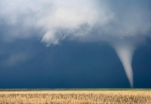 Sigortalı kayıp 17 milyar dolara ulaşacak