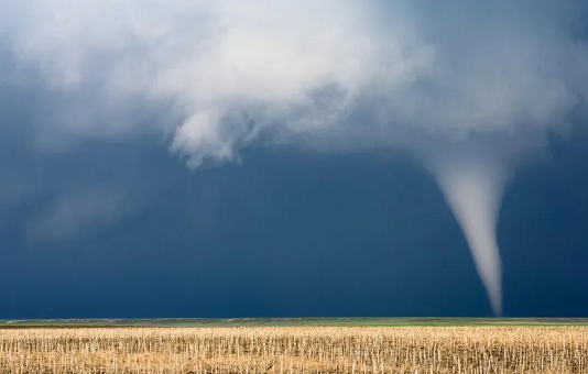 Sigortalı kayıp 17 milyar dolara ulaşacak