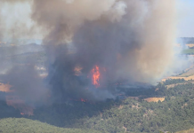 Orman yangını riski yönetilebilir mi? Uzmanlar anlattı