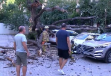 Bina ve site yöneticileri tehlikenin farkında değiller