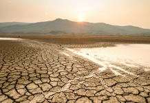 İklim değişikliğine verilen 6 psikolojik tepki