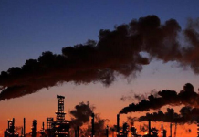 Şirketlerin iklim karnesi: Taahhüt var, eylem yok