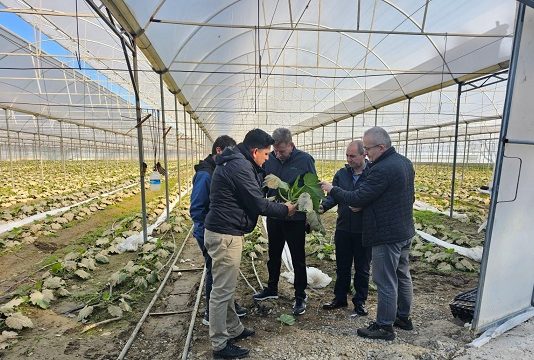 TARSİM’den Antalya’daki seracılara geçmiş olsun ziyareti