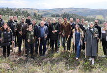 Neova’dan, Geleceğimizin Sigortası Ormanlarımız projesi