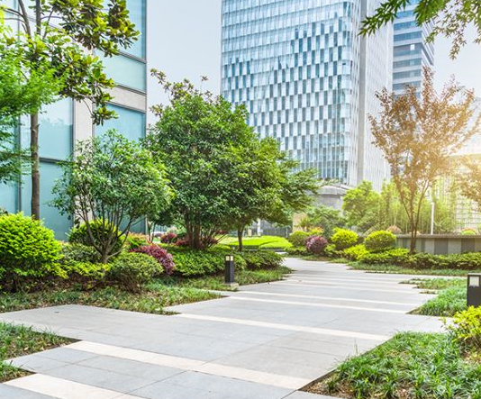 Türk şirketlerinin iklim karnesi açıklandı