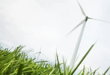 Sürdürülebilirlik üzerine çarpıcı tüketici anketi