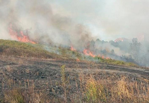 Yangınlarda TARSİM’e gelen hasar ihbarları netleşti