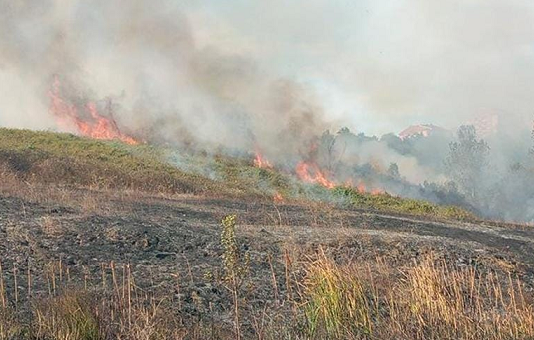Yangınlarda TARSİM’e gelen hasar ihbarları netleşti
