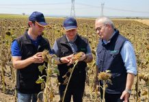 TARSİM heyetinden Edirne’ye ziyaret