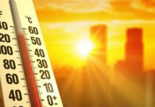 Çarpıcı rapor: Aşırı sıcaklar sigortada sorumluluk taleplerini artıracak