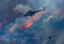 Her yıl 10 bin hektar yanıyor. Sigortaya etkisi artıyor