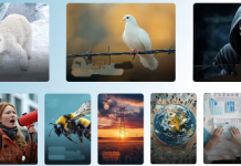 AXA Gelecek Riskleri Raporu yayımlandı: İşte ilk 10 risk