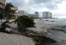 Zarar 100 milyar dolar. 2025 reasürans fiyatları artabilir