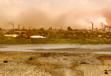 İşte şirketlerin iklim risklerini yönetme karnesi