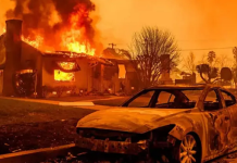 ABD yangını 4 reasürörün 2025 bütçesini tüketebilir