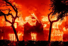 Yapı başına sigortalı kayıp 1.9 milyon dolar