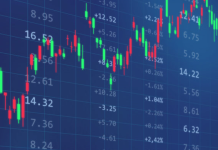 2024’ün halk arz trendleri belli oldu