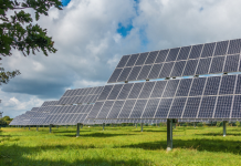 Sigortacılar düşük karbonlu enerji projelerini nasıl destekler?