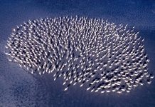 Kadın Gözüyle Hayattan Kareler’in 2025 kazananları belli oldu