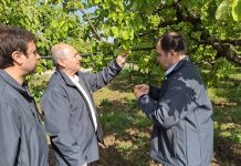 TARSİM’den Düzce ve Sakarya’ya ziyaret