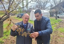 TARSİM Malatya’da, üreticinin yanında