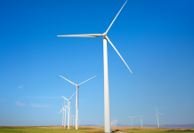 Anadolu Sigorta, Kangal Enerji ve Werover iş birliği