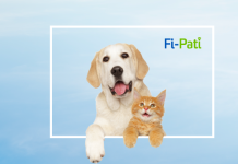 Fibasigorta’dan, evcil hayvan sigortası