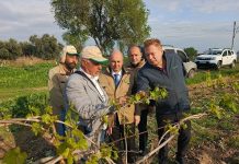 TARSİM’den Manisa’lı üreticilere geçmiş olsun ziyareti