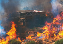 Orman yangınlarında 1168 bina hasar gördü. Zorunlu afet sigortasında geç kalınıyor
