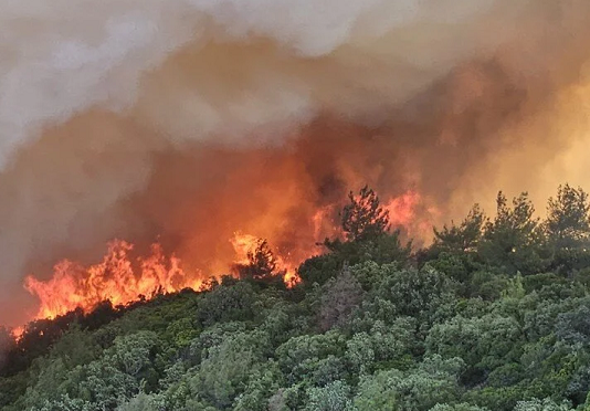 Orman yangınları sigorta kapsamında mı?