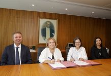 Anadolu Sigorta’dan 100. yıla özel 100.000 fidan