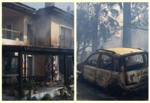 Sigorta orman yangınını kapsar mı? Muafiyete dikkat!