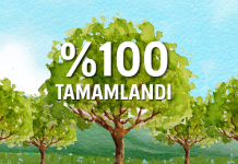 Unico Sigorta’dan 30 bin fidanlık hatıra ormanı