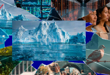 AXA’nın raporu yayınlandı geleceğin riskleri belli oldu