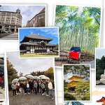 Unico Sigorta’nın başarılı acenteleri Japonya’da