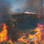 İzmir orman yangınından etkilenenler BES’ten kısmi ödeme alabilecek
