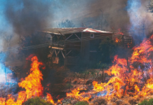 İzmir orman yangınından etkilenenler BES’ten kısmi ödeme alabilecek