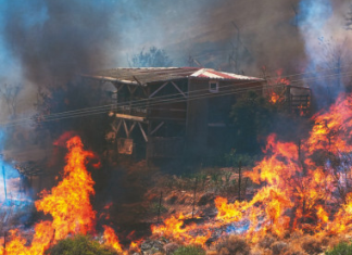İzmir orman yangınından etkilenenler BES’ten kısmi ödeme alabilecek