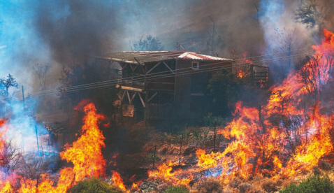 İzmir orman yangınından etkilenenler BES’ten kısmi ödeme alabilecek