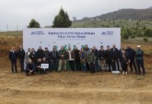 Katılım Emeklilik, yanan ormanların yaralarını sarıyor