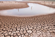 Türkiye Sigorta’dan Su Raporu: Parametrik sigortanın önemi artıyor