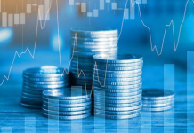 Kasımda hangi yatırım aracı yüksek getiri sağladı?