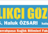 Haluk Özsarı yazdı: Stratejik aktör sigortacılık